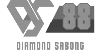 PayPal logo